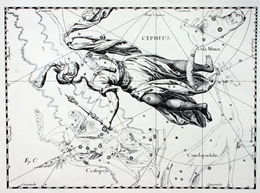 Cepheus